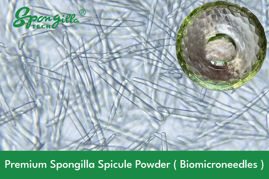 Spongilla powder